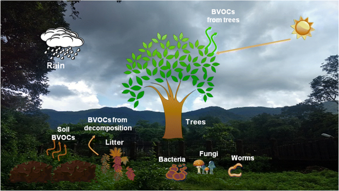 Volatile organic compounds emission is connected with microorganisms