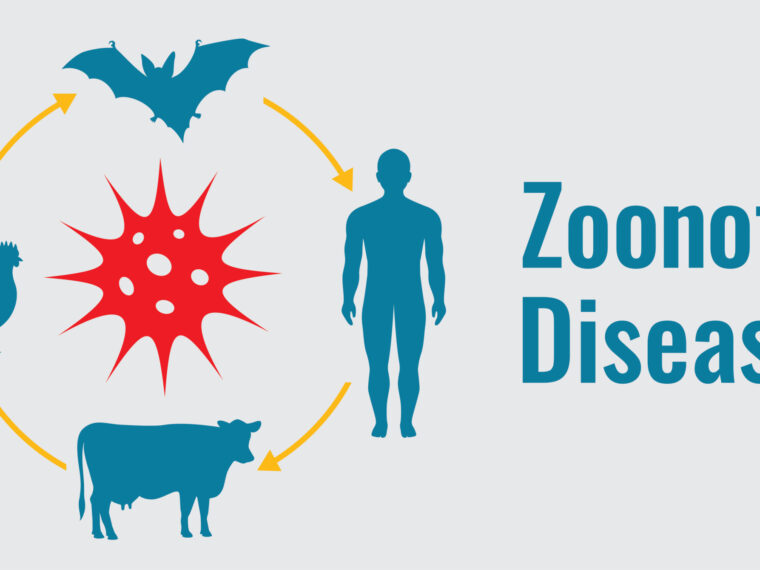 Zoonotic Diseases Meaning Types And Prevention Biocleve