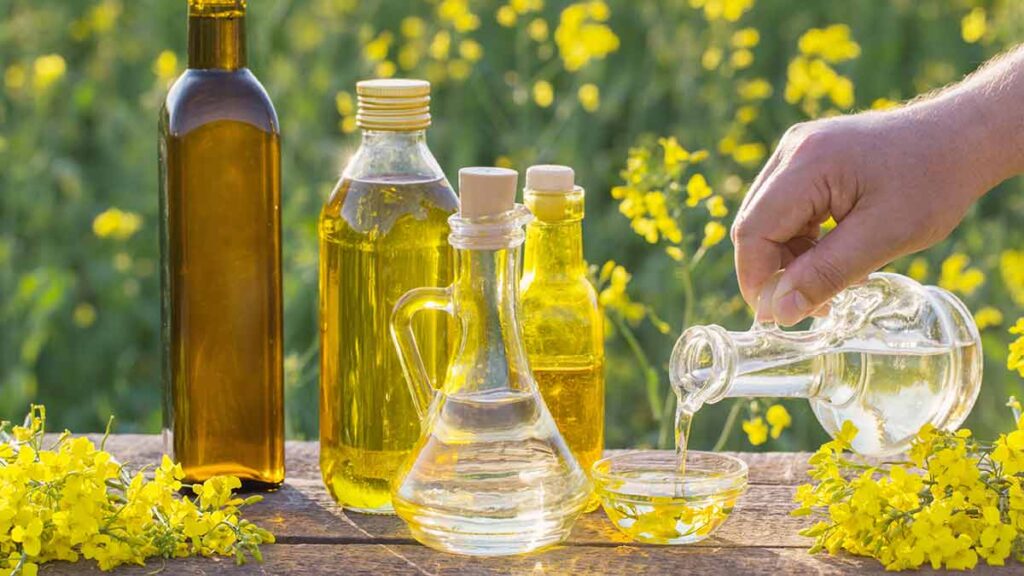 Canola oil is a healthy cooking oil