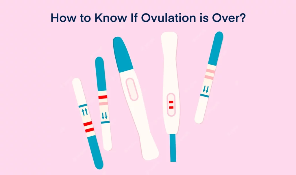 Signs Ovulation is Over
